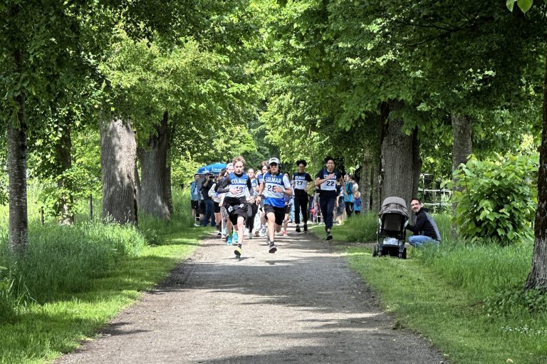 waldlauf mittlere jungs