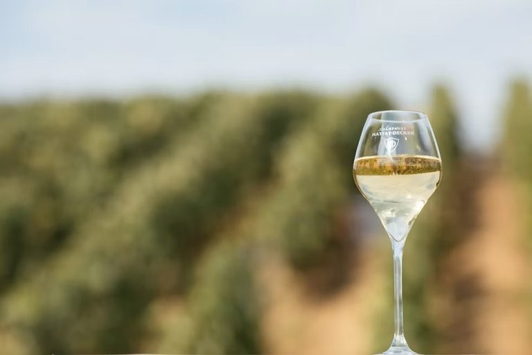 champagner
