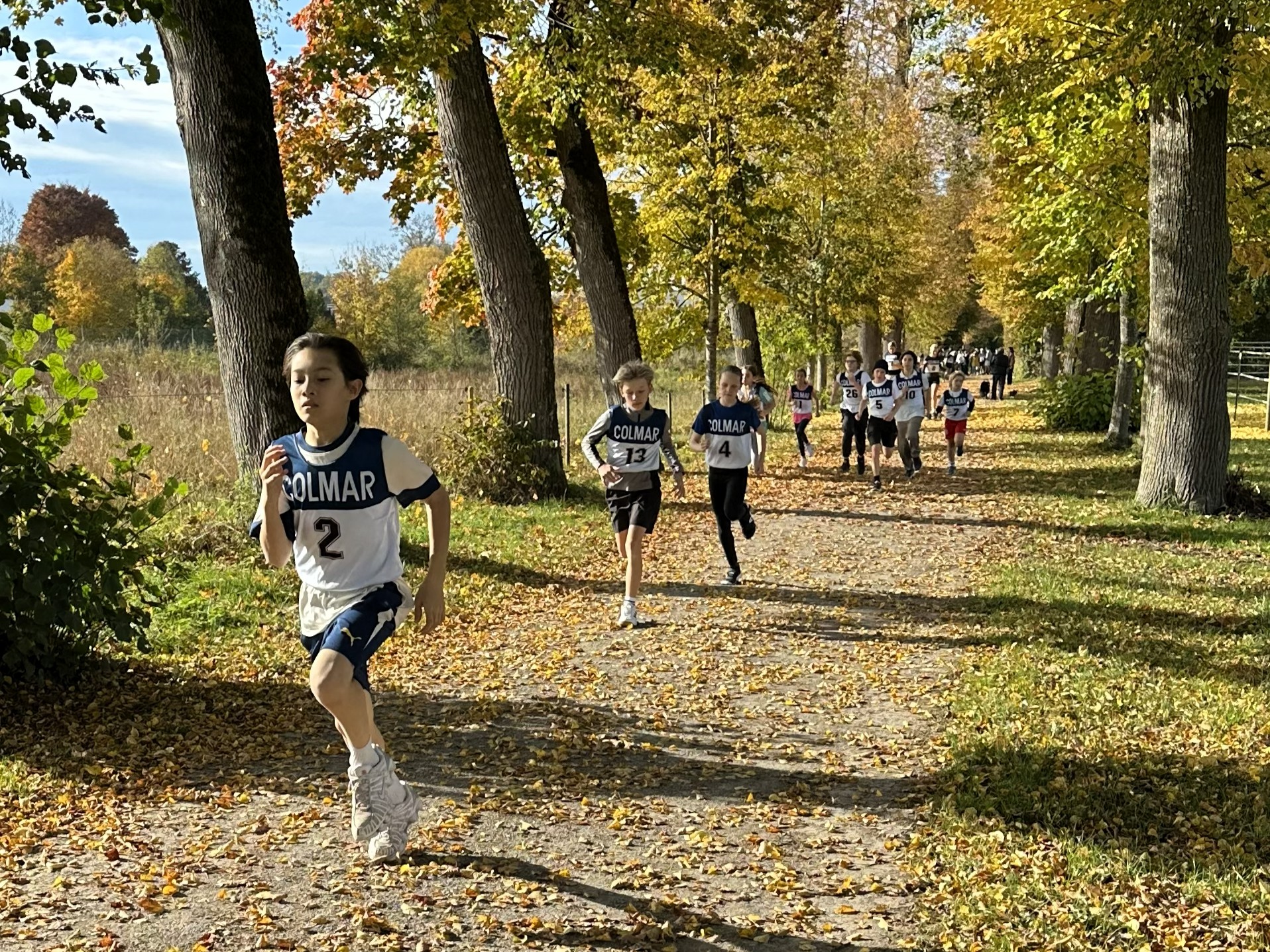 websitehaederwaldlauf25