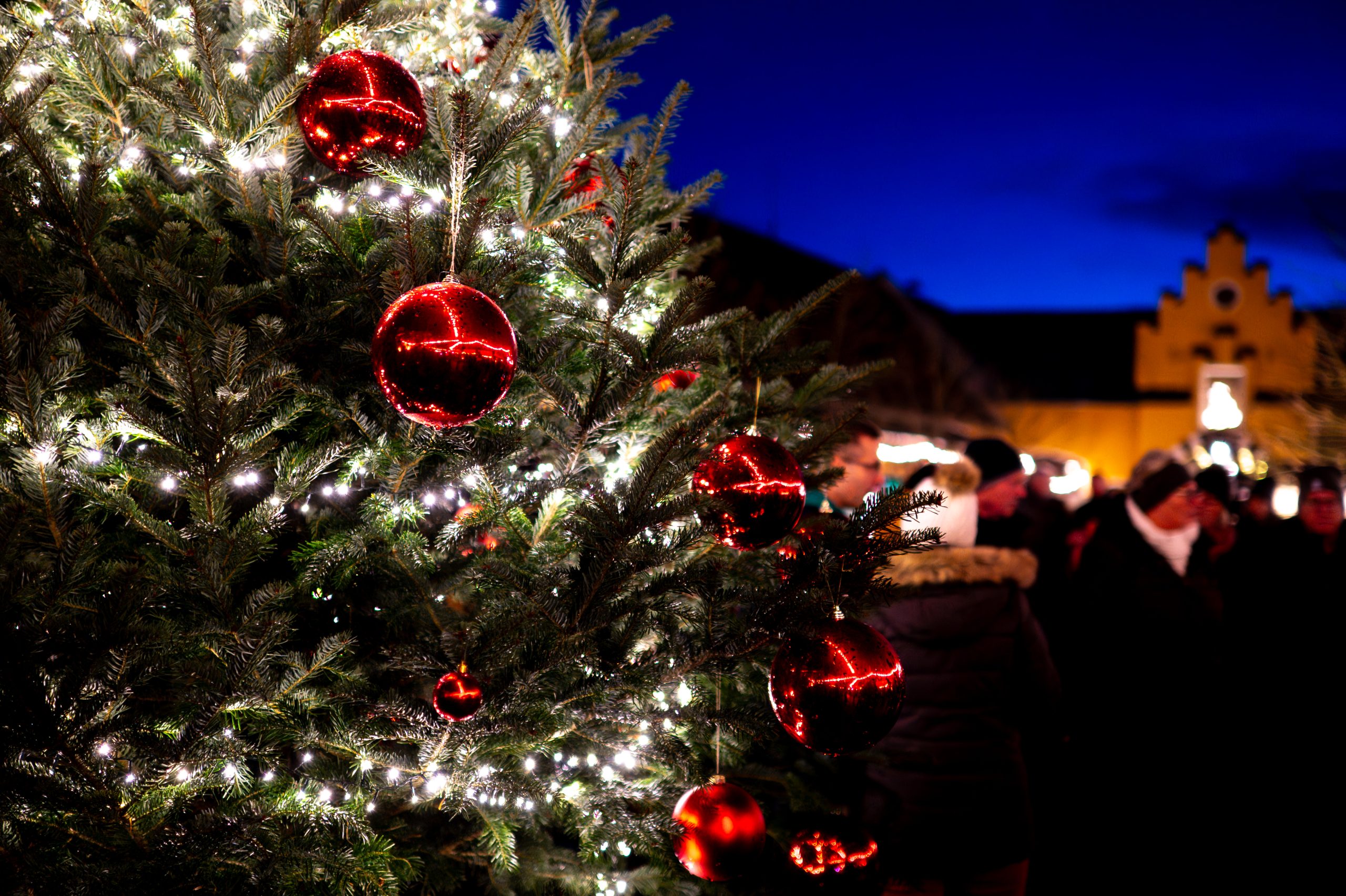 adventsmarkt schule schloss stein 37