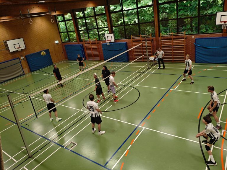 Volleyball mit Ising