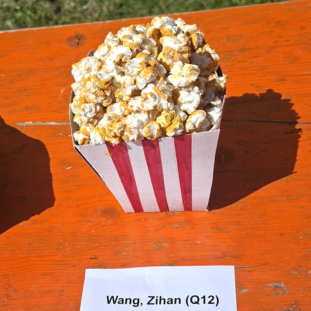 zihan wang kunst